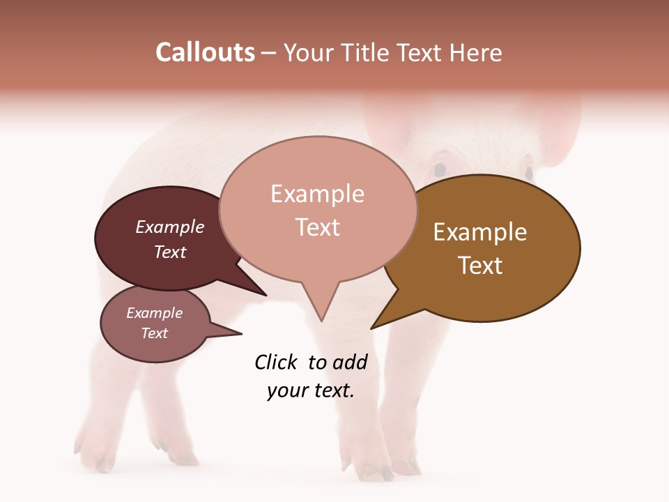 Animals Cattle Image PowerPoint Template