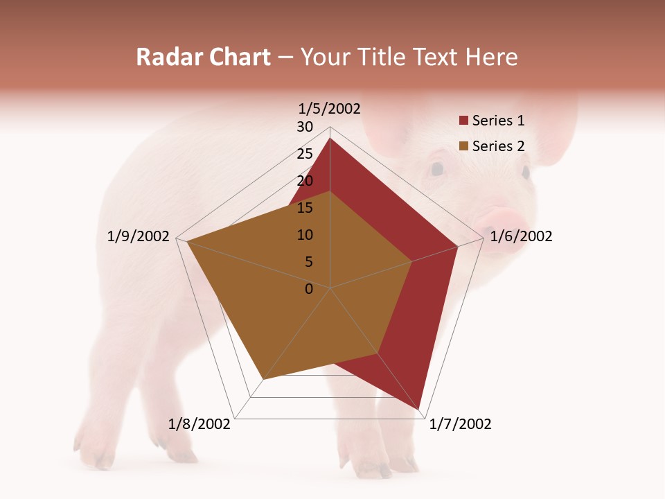 Animals Cattle Image PowerPoint Template