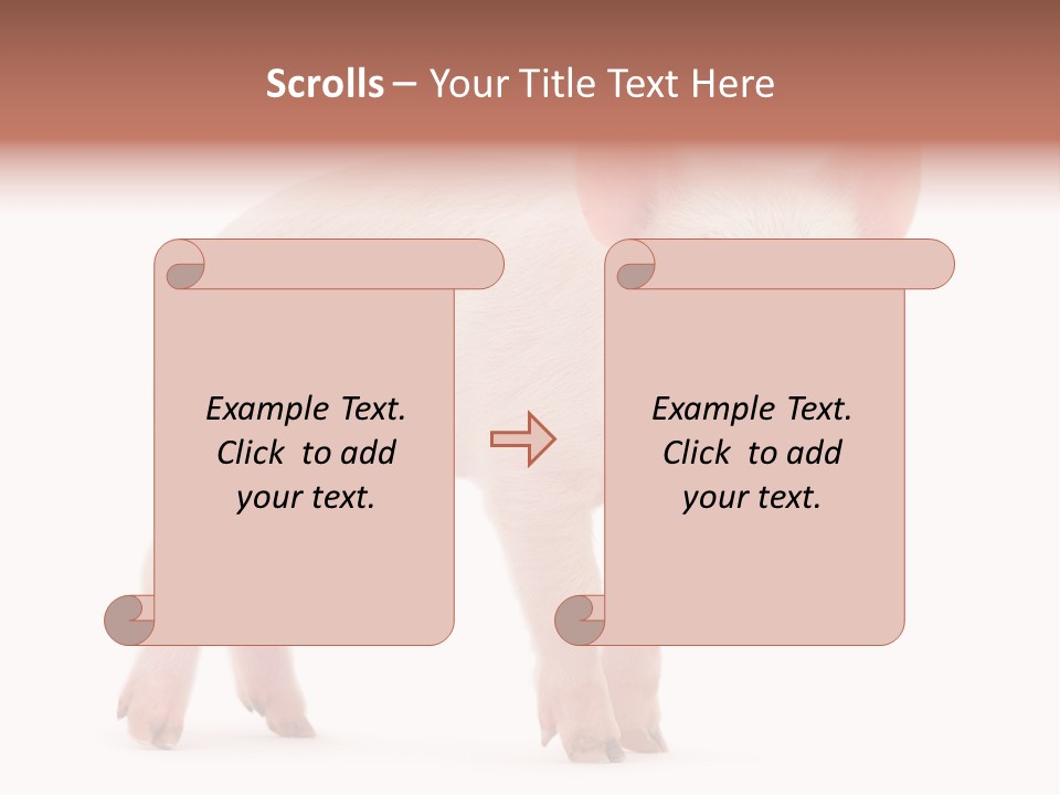 Animals Cattle Image PowerPoint Template