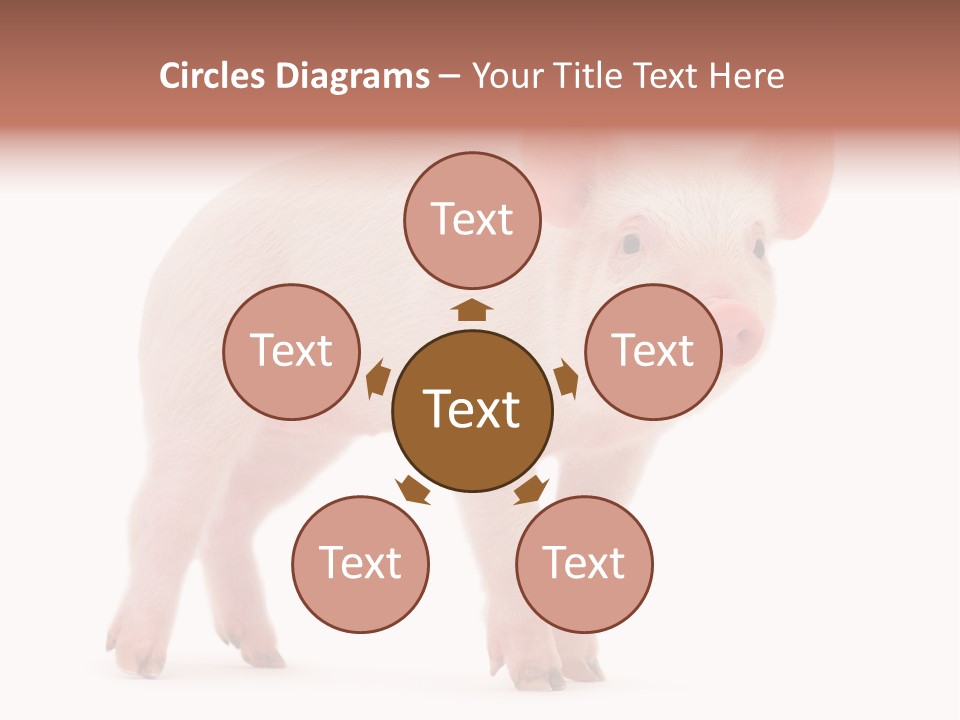 Animals Cattle Image PowerPoint Template