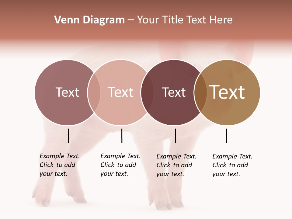 Animals Cattle Image PowerPoint Template
