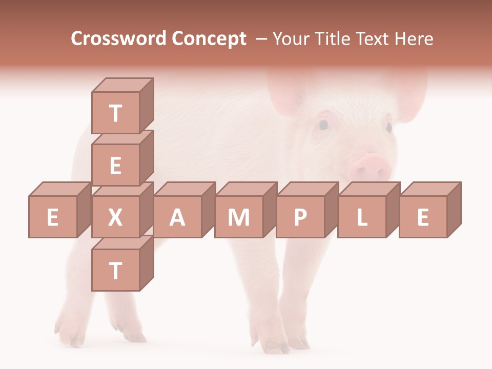 Animals Cattle Image PowerPoint Template