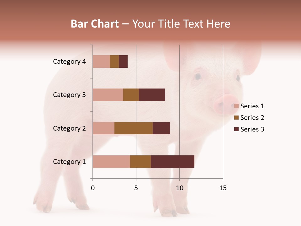 Animals Cattle Image PowerPoint Template