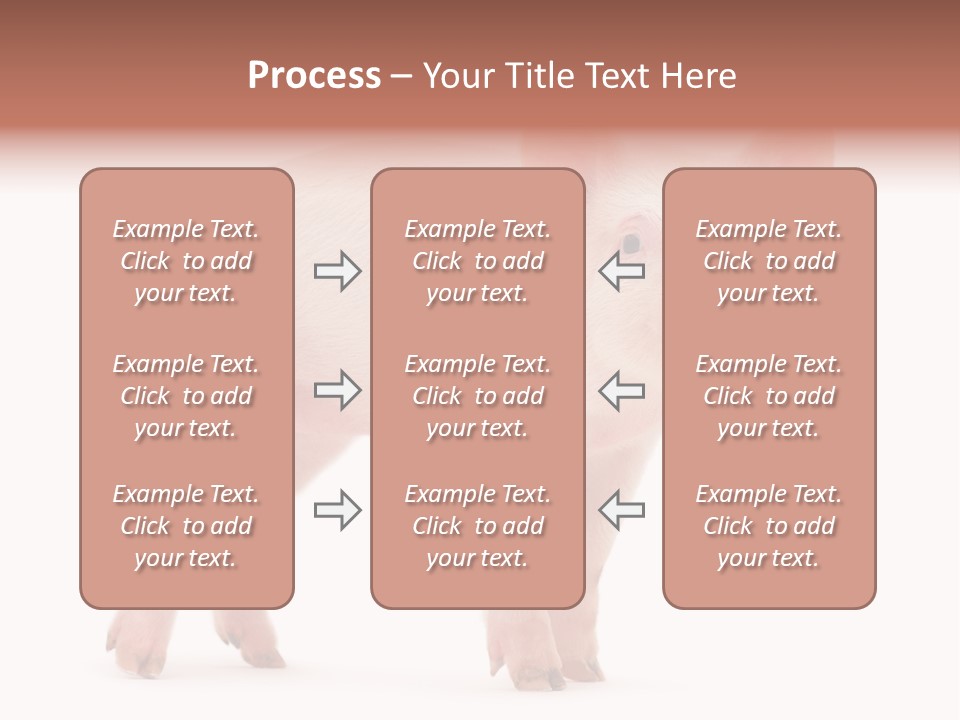 Animals Cattle Image PowerPoint Template
