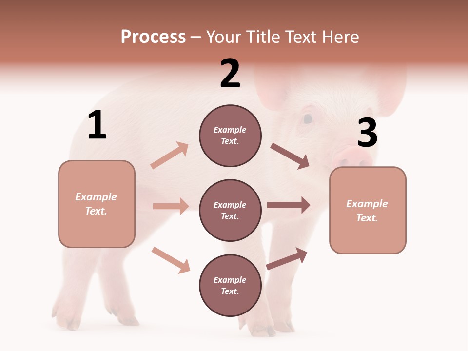 Animals Cattle Image PowerPoint Template