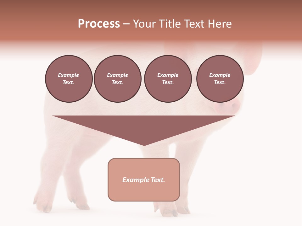 Animals Cattle Image PowerPoint Template