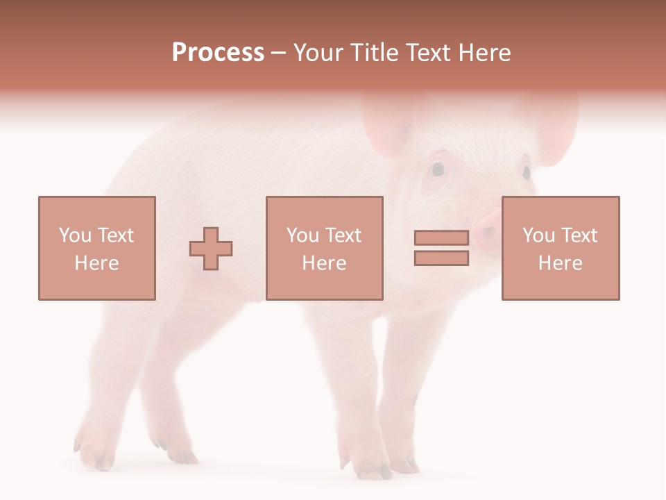 Animals Cattle Image PowerPoint Template