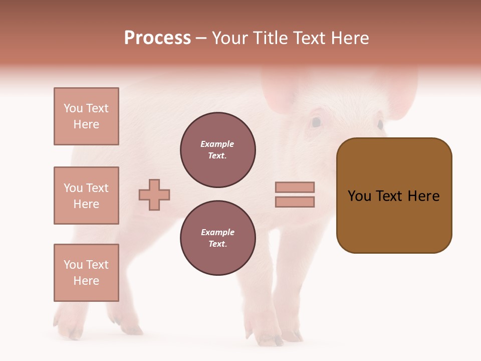 Animals Cattle Image PowerPoint Template