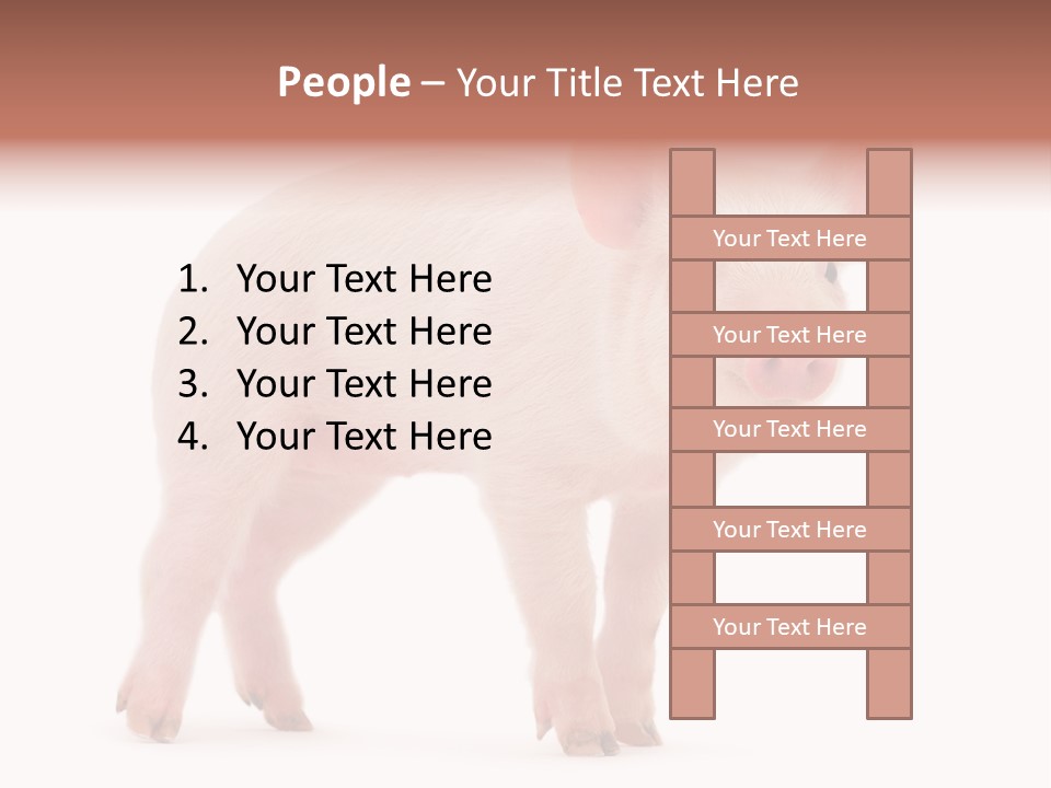 Animals Cattle Image PowerPoint Template