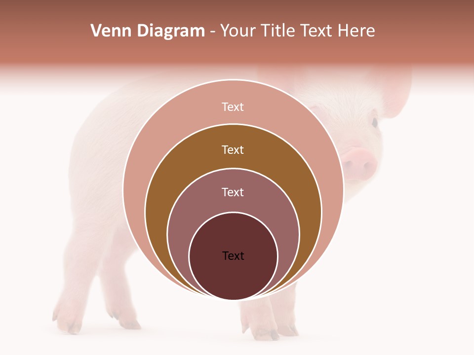 Animals Cattle Image PowerPoint Template