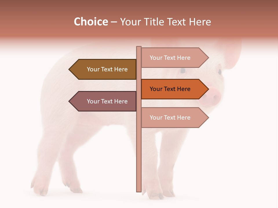 Animals Cattle Image PowerPoint Template