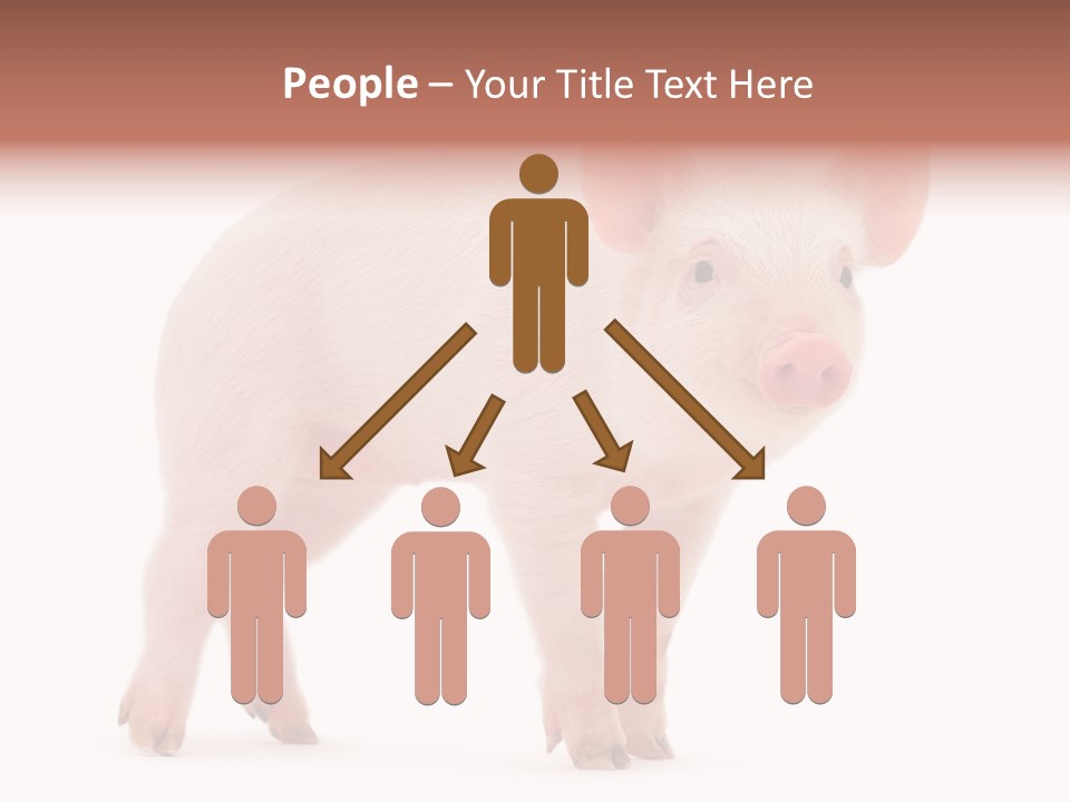 Animals Cattle Image PowerPoint Template