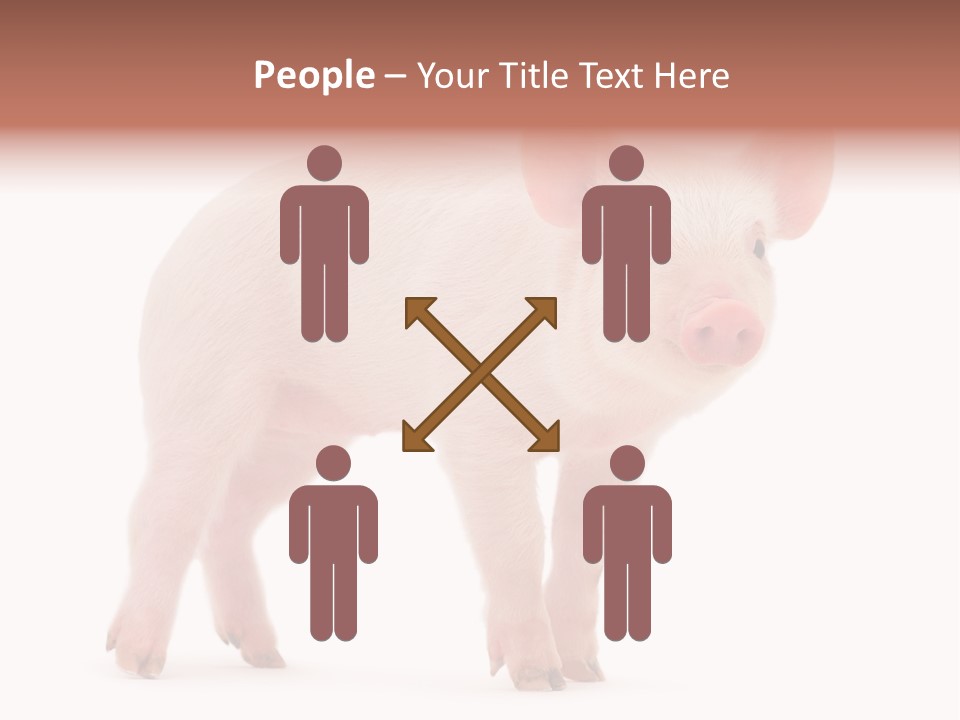 Animals Cattle Image PowerPoint Template