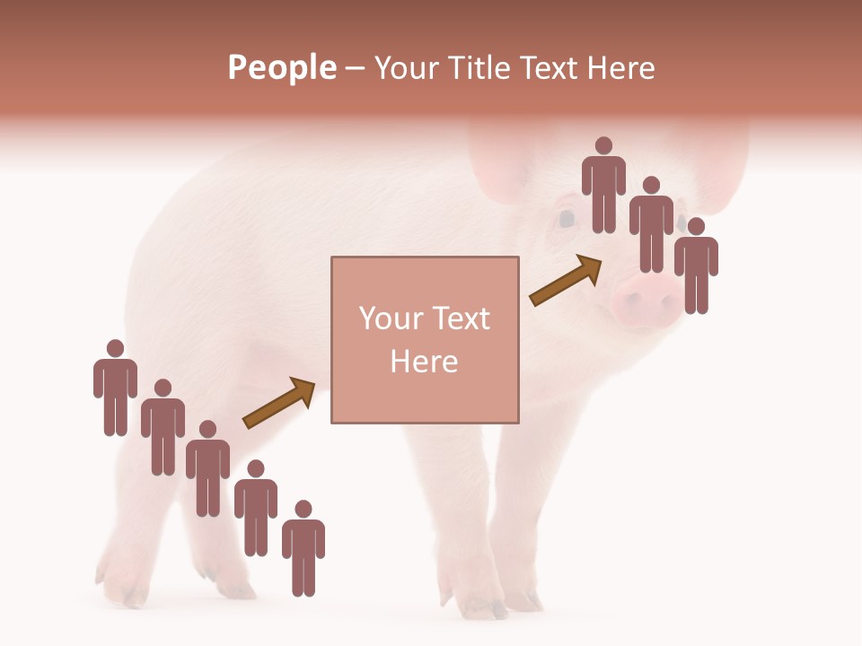 Animals Cattle Image PowerPoint Template