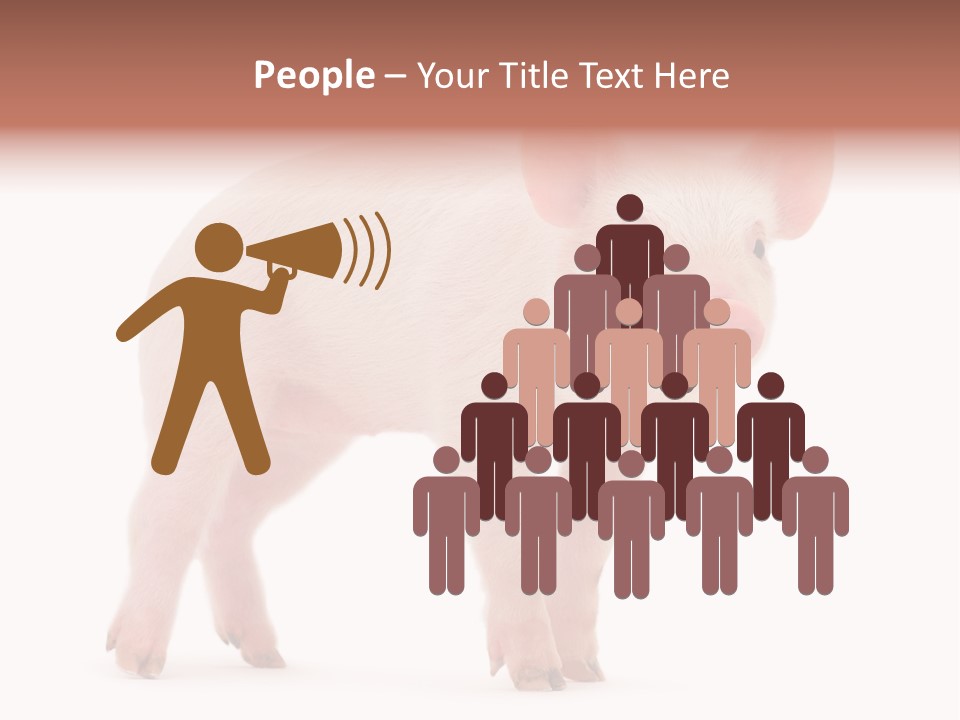 Animals Cattle Image PowerPoint Template