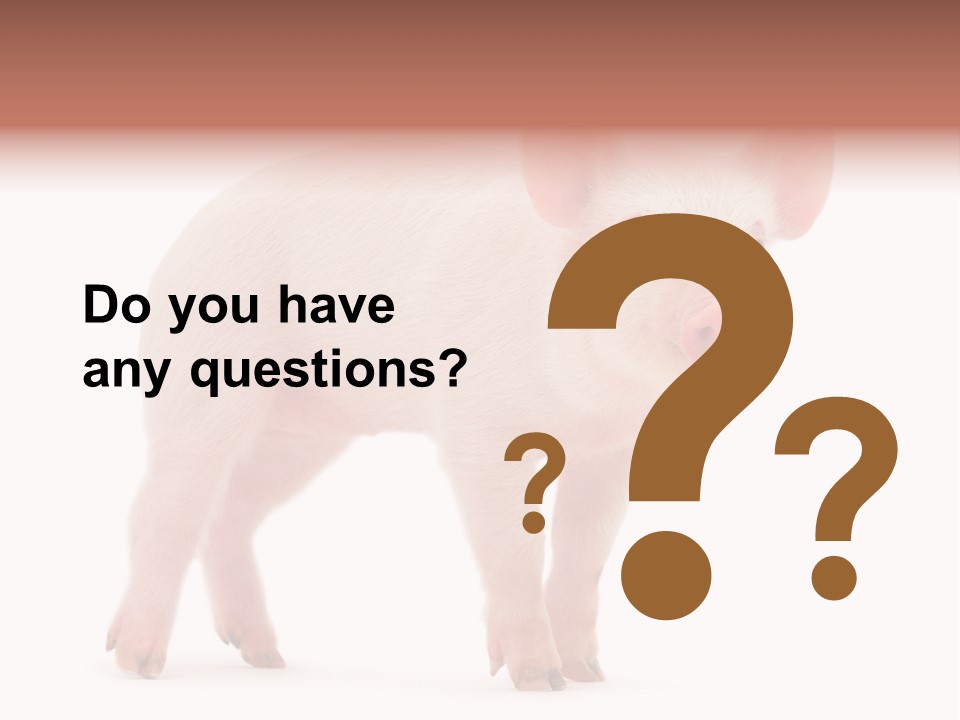 Animals Cattle Image PowerPoint Template