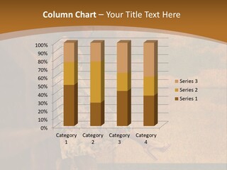 Texture Front Sandals PowerPoint Template