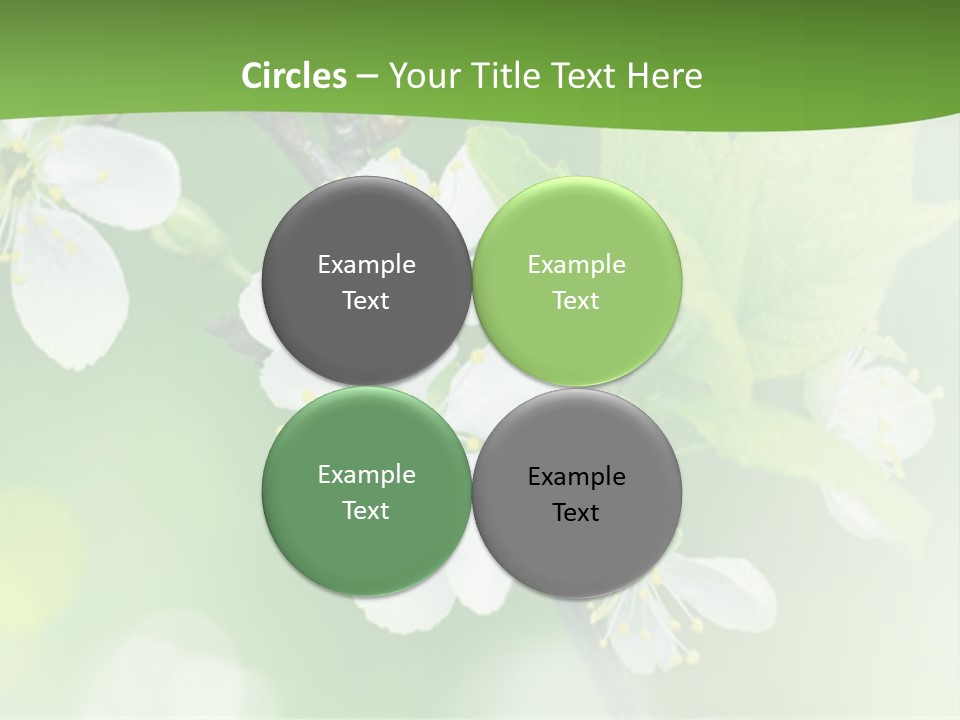 Wall Protection Work PowerPoint Template