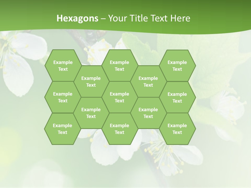 Wall Protection Work PowerPoint Template