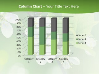 Wall Protection Work PowerPoint Template