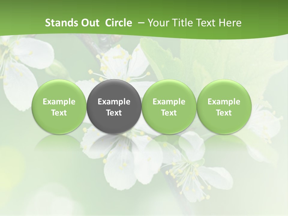 Wall Protection Work PowerPoint Template