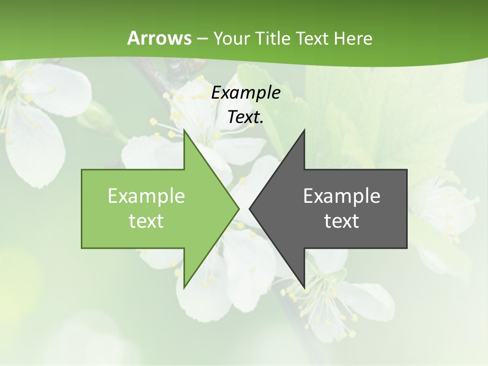 Wall Protection Work PowerPoint Template