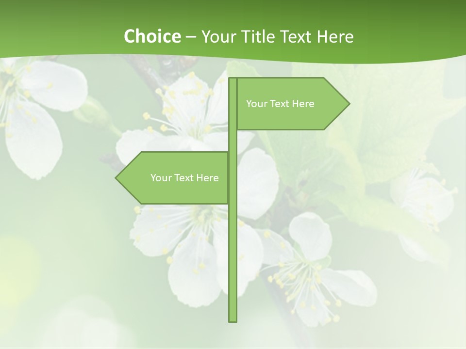 Wall Protection Work PowerPoint Template