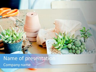 Classroom Spring Floral PowerPoint Template