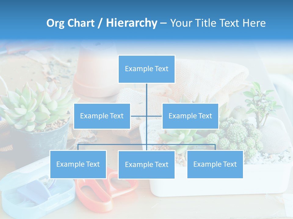 Classroom Spring Floral PowerPoint Template