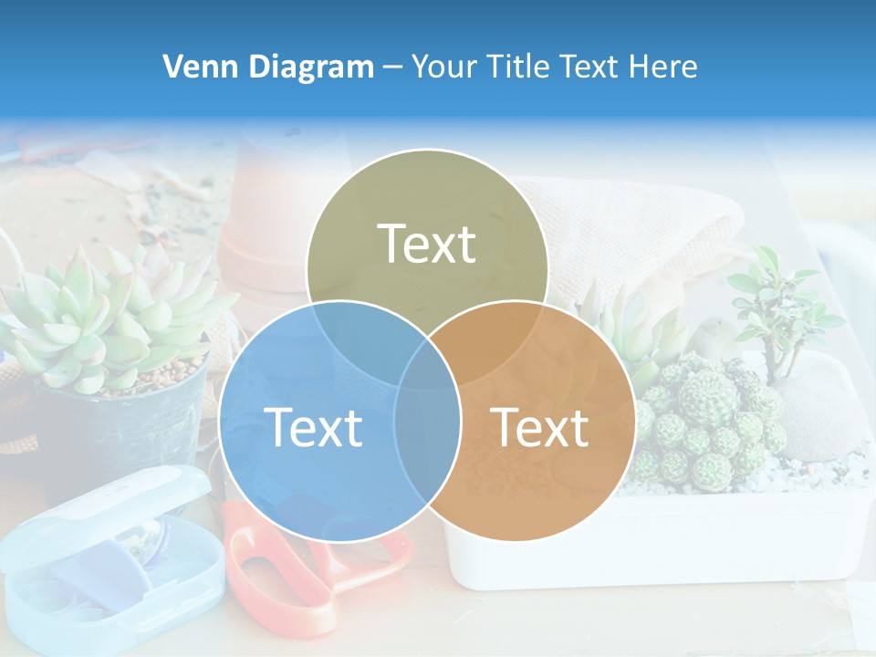 Classroom Spring Floral PowerPoint Template