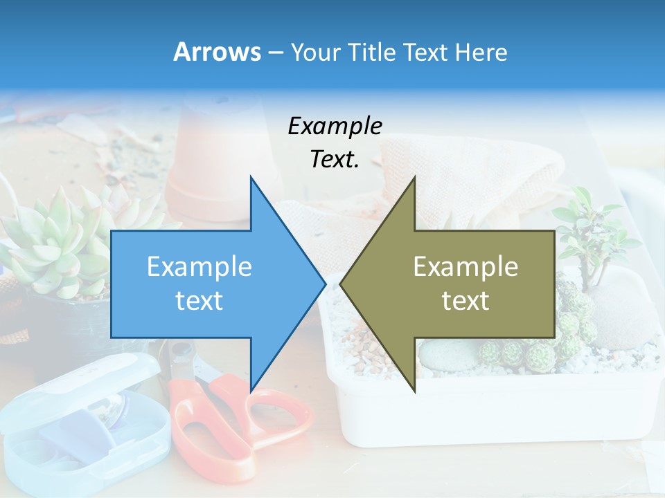 Classroom Spring Floral PowerPoint Template