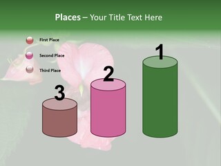 Botanical Leafs Purple PowerPoint Template