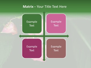 Botanical Leafs Purple PowerPoint Template