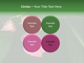 Botanical Leafs Purple PowerPoint Template