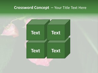 Botanical Leafs Purple PowerPoint Template