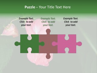 Botanical Leafs Purple PowerPoint Template