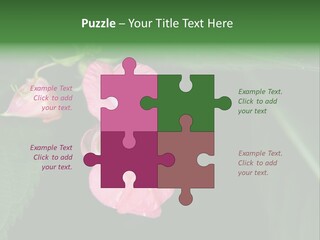 Botanical Leafs Purple PowerPoint Template