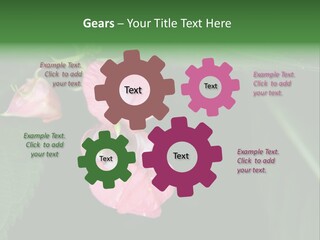 Botanical Leafs Purple PowerPoint Template