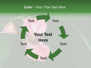 Botanical Leafs Purple PowerPoint Template