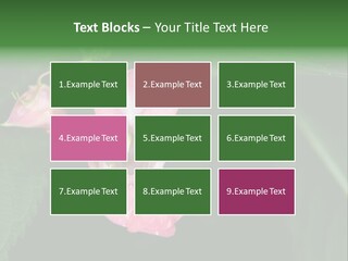 Botanical Leafs Purple PowerPoint Template