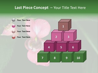 Botanical Leafs Purple PowerPoint Template