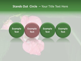 Botanical Leafs Purple PowerPoint Template