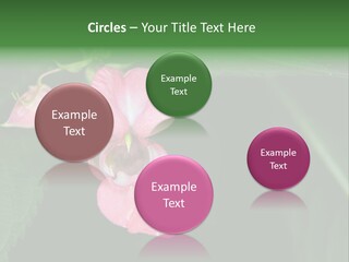 Botanical Leafs Purple PowerPoint Template