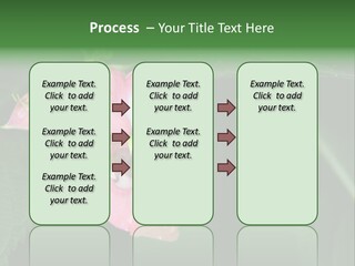 Botanical Leafs Purple PowerPoint Template