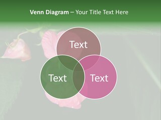 Botanical Leafs Purple PowerPoint Template
