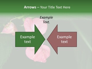 Botanical Leafs Purple PowerPoint Template