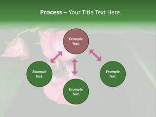 Botanical Leafs Purple PowerPoint Template