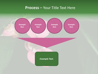 Botanical Leafs Purple PowerPoint Template