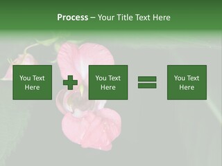 Botanical Leafs Purple PowerPoint Template