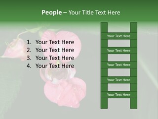 Botanical Leafs Purple PowerPoint Template